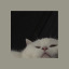 immaculate-depresso
