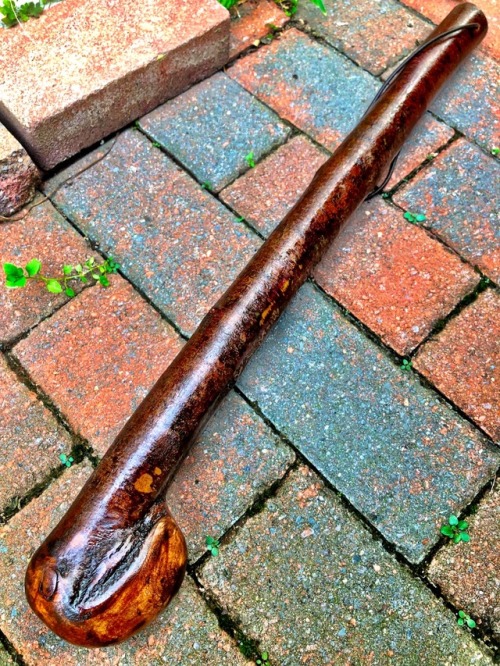 Irish blackthorn shillelagh. 22 inches long, 720g in weight. The term shillelagh (thonged stick) has