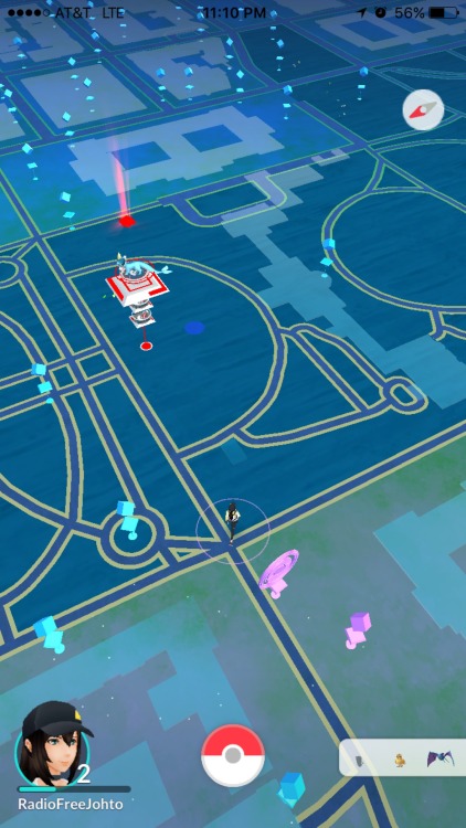 yiffmaster: if any of you are wondering the White House north lawn is a gym with a vaporeon and a sh