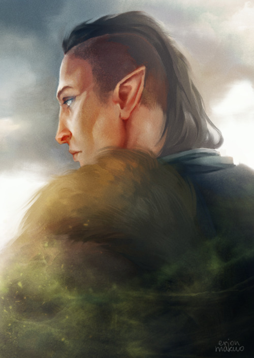 erionmakuo: Friends, Inquisitor. Better than his lot any day.All of the post-Trespasser portraits! H