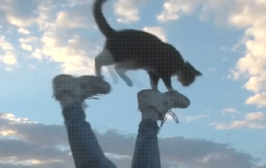 kittyb4e: