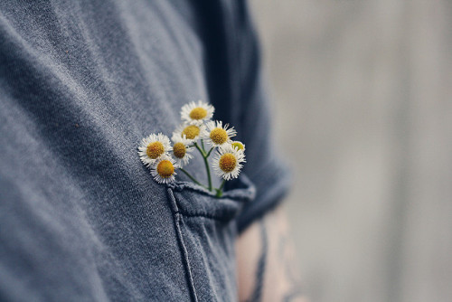 bearonfirestaff:  http://5ense.tumblr.com/ 