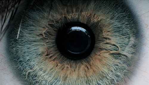 Eyescape (via brutalgeneration) WWW.SH8NA.TUMBLR.COM