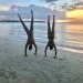 straightthong: