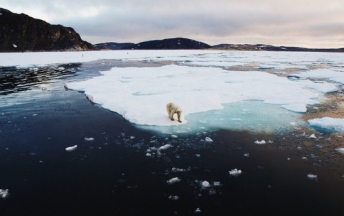 archae-heart:the melting world // Svalbard, Norway