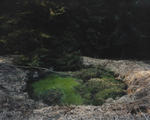 nyctaeus: Henning Rogge photographs WWII craters 70 years later