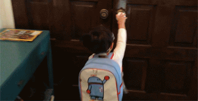 The Absolute Best GIFs