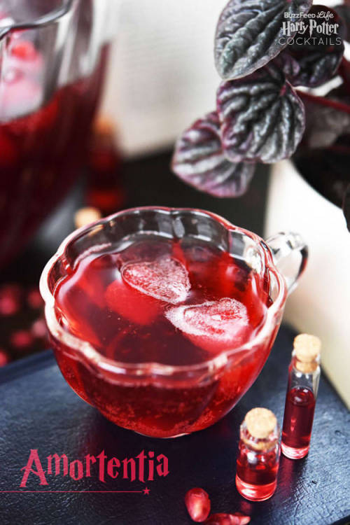 createbakecelebrate: 8 Magical And Delicious Harry Potter Cocktails // BuzzfeedFollow For Recip