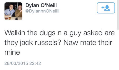 crispypepperoni:My personal favorites from Scottish Twitter