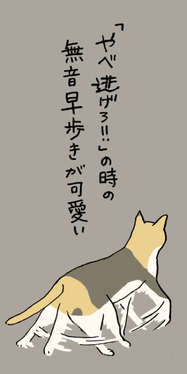 白鳥の泳ぎのごとく