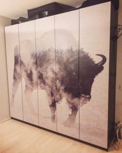 chrisbmarquez:Bison closet shared by @karohki Visit AndreasLie http://bit.ly/AndreasLie-S6-Store