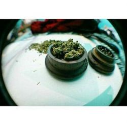 enjoylavida:  #pikachu #oldschool #style #old #capture #friends #afternoon #winds #smoke #weed #aspire #goodthinks #enjoythetime #stoned #smiles #fisheye #nikond3000 #graffafternoon #nothingelse #more ma 🍁 (en Villa Adelina, San Isidro)