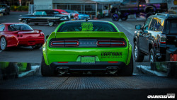 radracerblog:  Liberty Walk Dodge Challenger R/T 