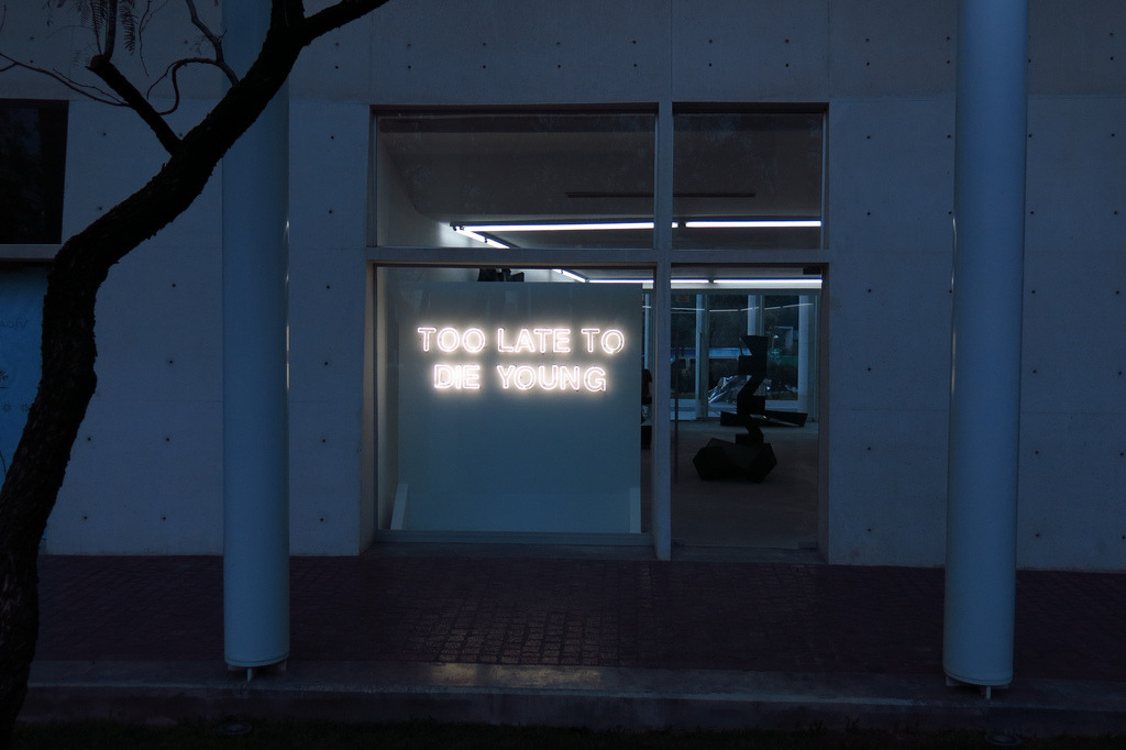 Visual-Poetry — »too late to die young« by aldo chaparro (+)