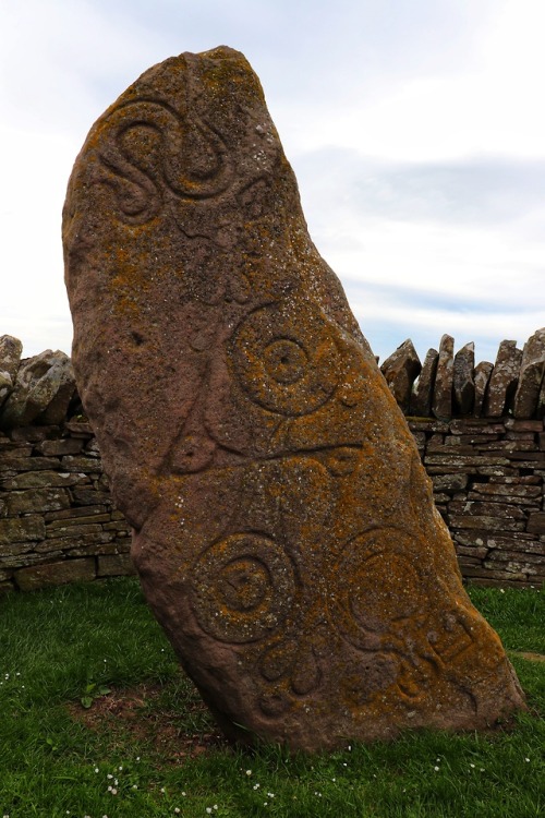 The Serpent Stone, Aberlemno Pictish Stones, Aberlemno, Angus, 20.5.18.On the front of this stone is