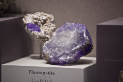 ifuckingloveminerals:  Fluorapatite