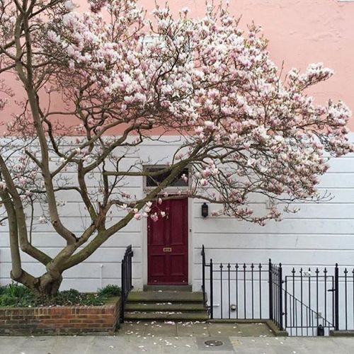 floralls:via   prettycitylondon