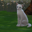 princess-cloudy