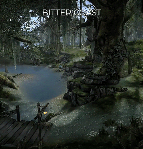 Regions Of Morrowind S K Y W I N D 2024: The Road So Far