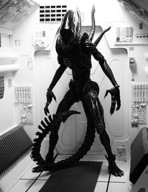 true horror: ALIEN