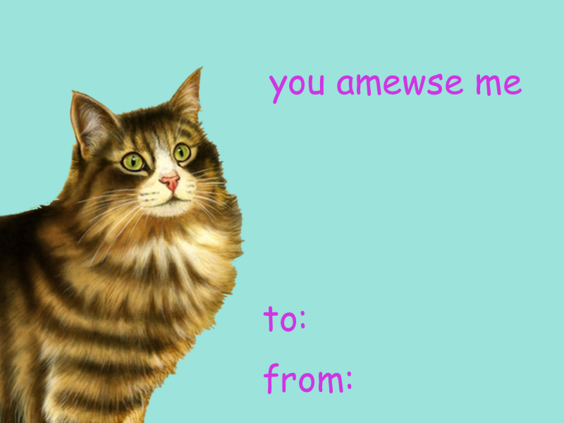lumin4nce:someone needs to stop mevalentines that will make ppl (or cats) like you