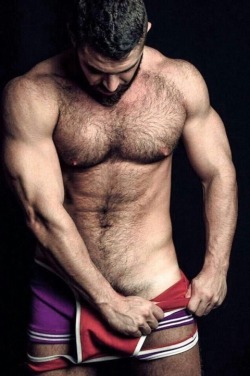 cuddlyuk-gay:    I generally reblog pics of guys with varying degrees of hair, if you want to check out some of the others, go to: http://cuddlyuk-gay.tumblr.com   