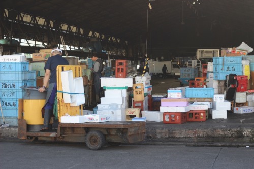 Marché Tsukiji - Tokyo