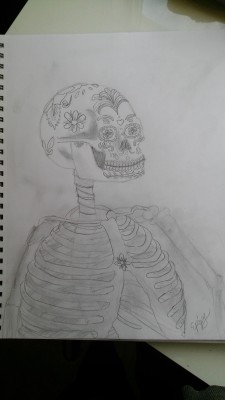 Just finished drawing this