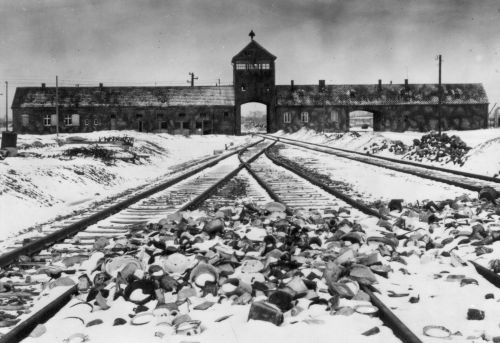 Today is International Holocaust Remembrance Day. The name itself, Holocaust, comes from the Greek h