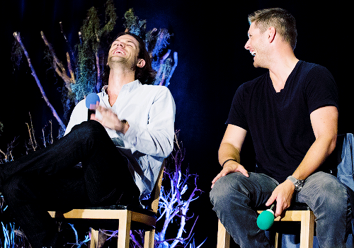 dickiebirdie37:  [x] 