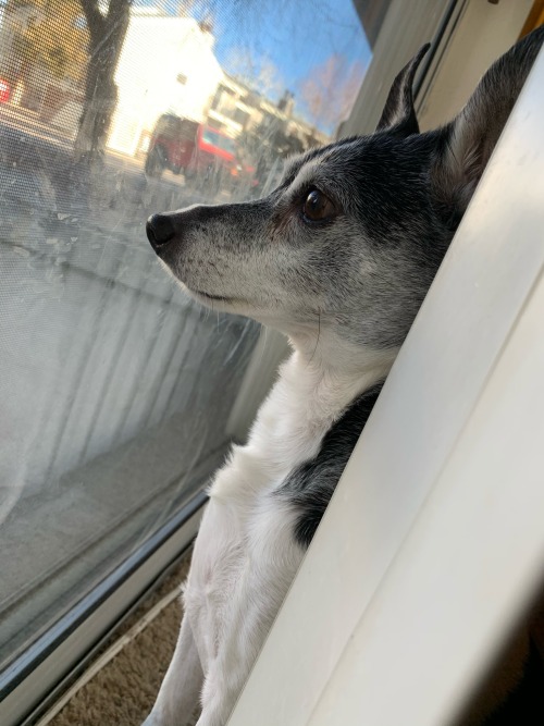 So I Just Got Some Really Really Bad News From The Vet.