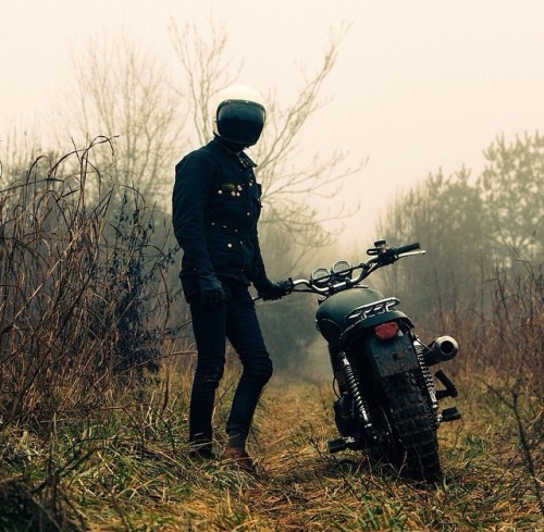 XXX troyarboc:  Shooting Triumphs new scrambler photo