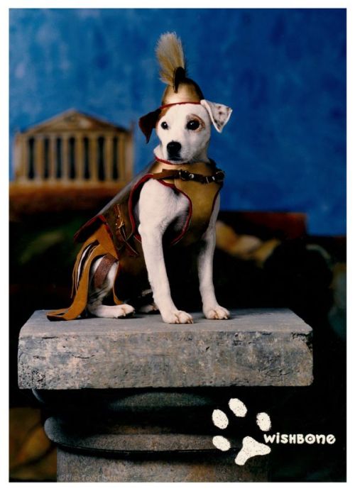 vintagegeekculture: Wishbone was a PBS series about a terrier that assumed the role of literary char