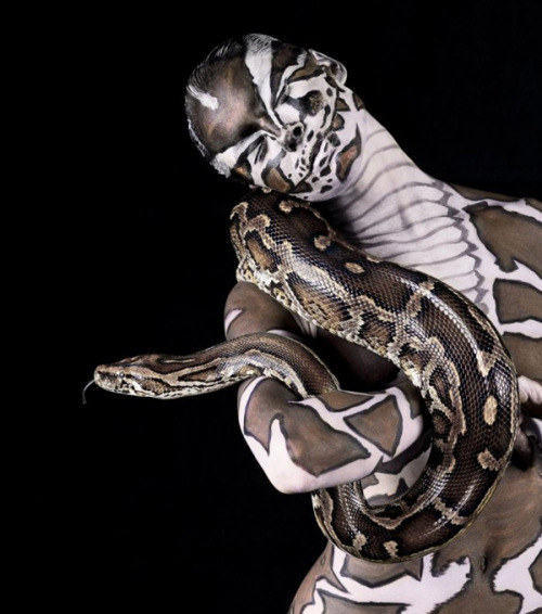 California black snake with white stripes