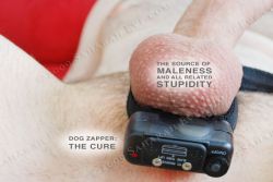 betabreeder:  kjay-puppy:  For when pup is a bad boy  :D it looks remote controlled. GIMME! 