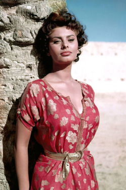 irina-irina-irina:  Sophia Loren