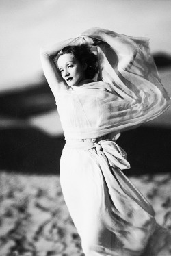 sharontates:  Marlene Dietrich in The Garden