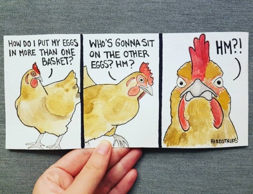 Bird no. 304. I only have one butt..Lately it feels like I’ve put each egg in its own basket a