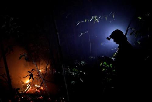  A volunteer works to put out a forest fire in the northern area of Brasilia’s National Park, 