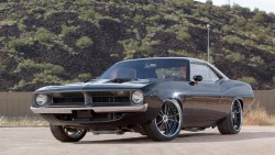 Muscle Cars Fans