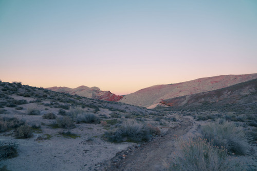 anthony-samaniego:seltzer