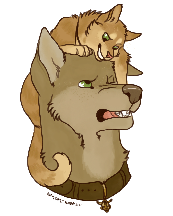 askspndogs:  Cats &amp; Dogs - trade thing with the amazing Drei of my boys