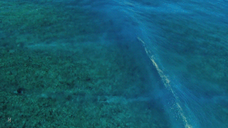 kenobi-wan-obi:  Ocean Wave Rainbows  When a beam of sunlight comes down to Earth, the light is white. But, if the light beam happens to hit raindrops (in the above scenario mist from the ocean waves) on the way down at a certain angle, the different