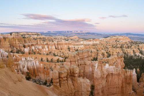 canyon capture; bryce canyon national park, utahtwitter / instagram