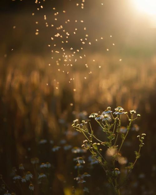 Nature makes us better | Photo by Linus Englund