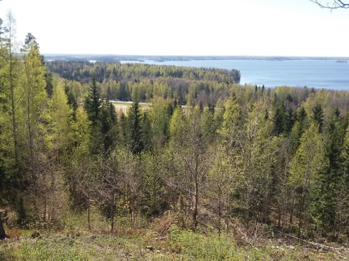 Rapola Hill Fort (Finland)Hill forts or “castles” were places were people took refuge during a time 