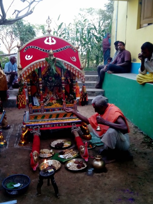 Dola Yatra (holi) at Odisha, procession of village deities of Radha and Krishna