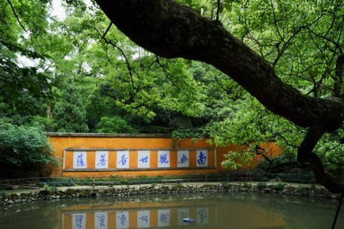 fuckyeahchinesegarden: Chinese temple by weber的web