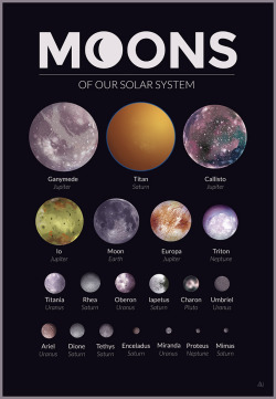 cladinscarlet:brookietf:  strongbirdjay:  alexneonakis:  An illustration of all of the major moons in our solar system. Jupiter’s got the prettiest moons.   I always find it so funny that our moon is named moon. Our moon is Moon Moon. God damn it,