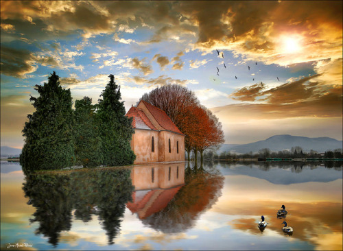 3 trees, 3 windows, 3 ducks &hellip; by Jean-Michel Priaux on Flickr.